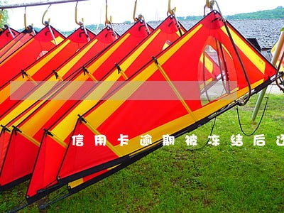 信用卡逾期被冻结后还有年费吗