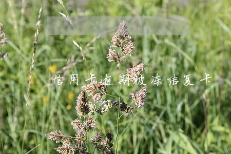 信用卡逾期被冻结复卡 信用卡逾期被冻结复卡