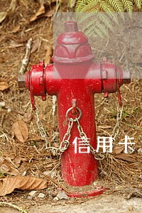 信用卡逾期被冻结多久会上征信