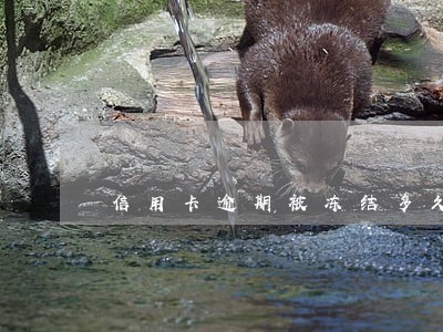 信用卡逾期被冻结多久才能解开 信用卡逾期被冻结多久才能解开