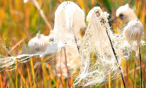 信用卡逾期被冻结多久能再次使用