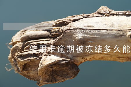 信用卡逾期被冻结多久能恢复 信用卡逾期被冻结多久能恢复