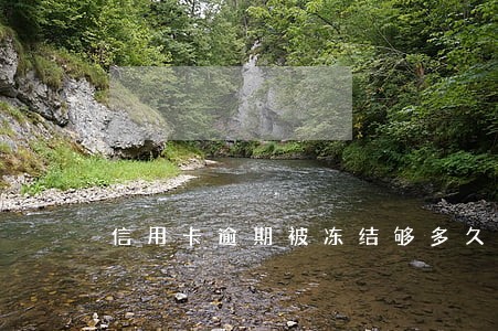 信用卡逾期被冻结够多久能够解冻