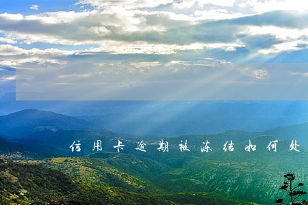 信用卡逾期被冻结如何处理