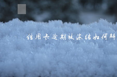 信用卡逾期被冻结如何解决 信用卡逾期被冻结如何解决