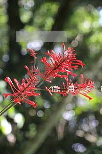 信用卡逾期被冻结对征信有影响吗 信用卡逾期被冻结对征信有影响吗