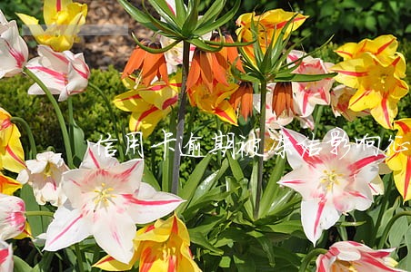 信用卡逾期被冻结影响征信会多久 信用卡逾期被冻结影响征信会多久