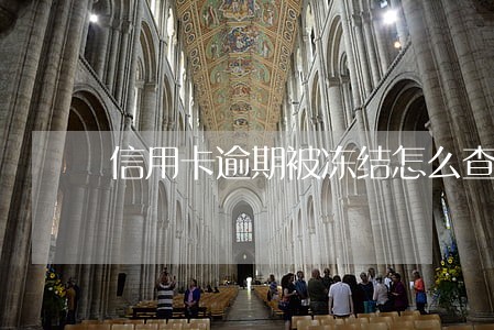 信用卡逾期被冻结怎么查账单 信用卡逾期被冻结怎么查账单