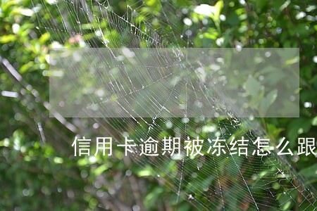 信用卡逾期被冻结怎么跟银行协商 信用卡逾期被冻结怎么跟银行协商