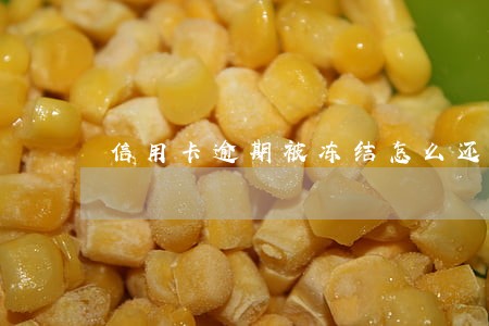 信用卡逾期被冻结怎么还清