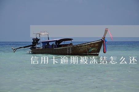 信用卡逾期被冻结怎么还进去 信用卡逾期被冻结怎么还进去