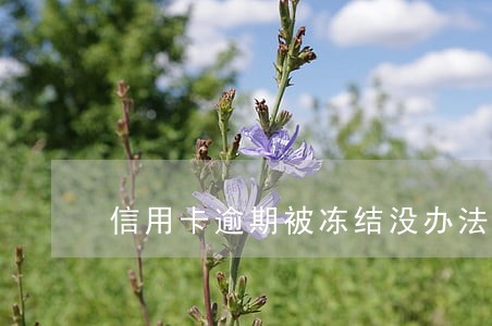 信用卡逾期被冻结没办法还款 信用卡逾期被冻结没办法还款