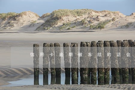 信用卡逾期被冻结的话会上征信 信用卡逾期被冻结的话会上征信