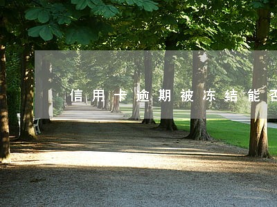 信用卡逾期被冻结能否解冻
