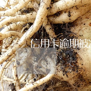 信用卡逾期被冻结能找到工作吗 信用卡逾期被冻结能找到工作吗