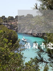 信用卡逾期被冻结能自己还吗