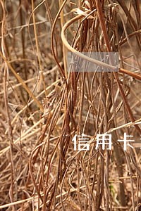 信用卡逾期被冻结解冻还能用吗