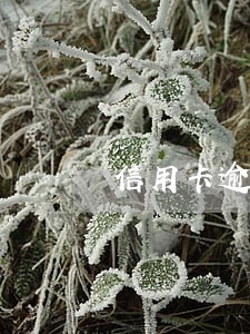 信用卡逾期被冻结解冻销户了 信用卡逾期被冻结解冻销户了