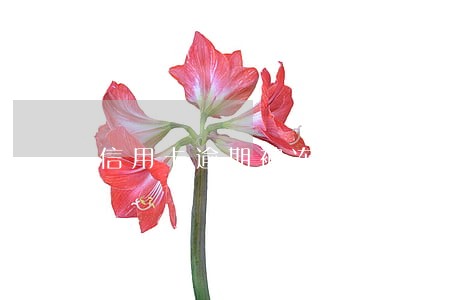 信用卡逾期被冻结诈骗预警