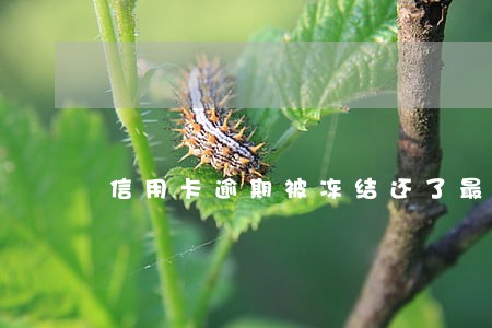 信用卡逾期被冻结还了最低
