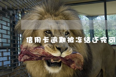 信用卡逾期被冻结还完可以解冻吗