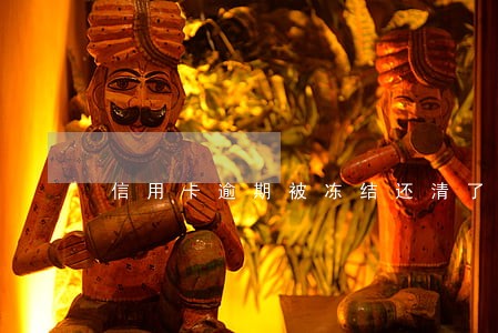 信用卡逾期被冻结还清了还能用吗