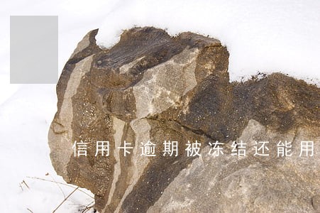 信用卡逾期被冻结还能用么