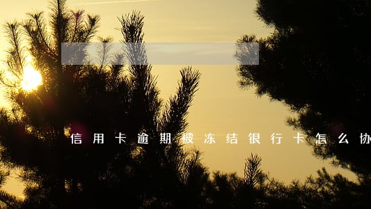 信用卡逾期被冻结银行卡怎么协商 信用卡逾期被冻结银行卡怎么协商
