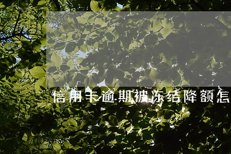 信用卡逾期被冻结降额怎么办 信用卡逾期被冻结降额怎么办