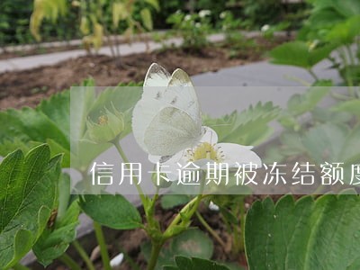 信用卡逾期被冻结额度怎么恢复