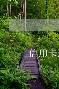 信用卡逾期被刑事拘留严重吗 信用卡逾期被刑事拘留严重吗