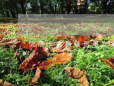 信用卡逾期被刑事立案怎么办