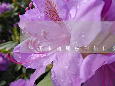 信用卡逾期被刑侦传唤 信用卡逾期被刑侦传唤