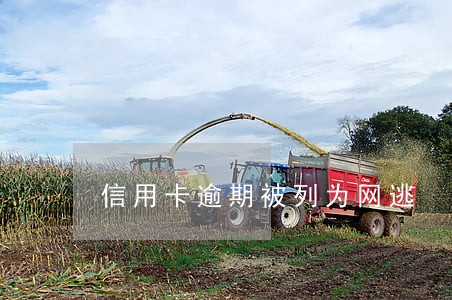 信用卡逾期被列为网逃 信用卡逾期被列为网逃
