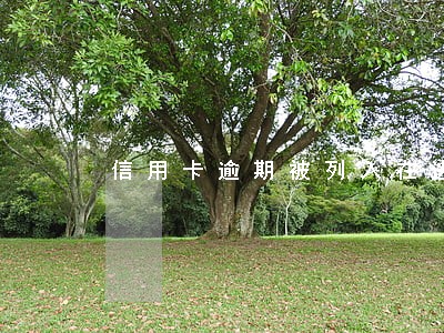 信用卡逾期被列入在逃人员