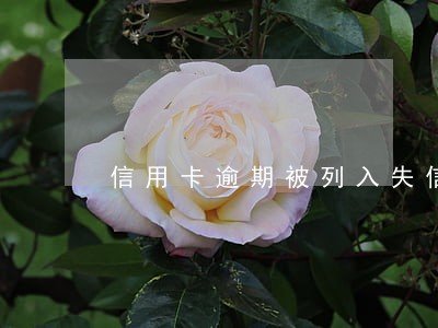 信用卡逾期被列入失信人员