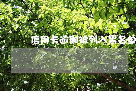 信用卡逾期被列入黑名单 信用卡逾期被列入黑名单