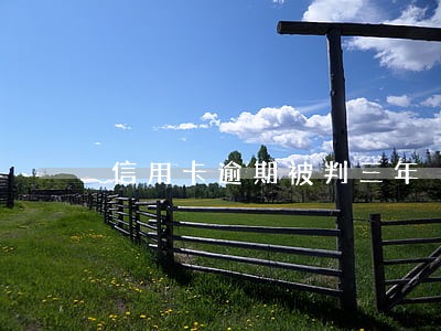 信用卡逾期被判三年 信用卡逾期被判三年
