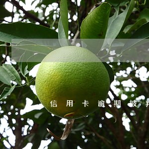 信用卡逾期被判出狱后 信用卡逾期被判出狱后