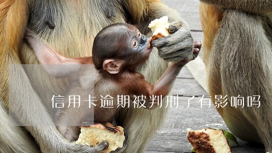 信用卡逾期被判刑了有影响吗 信用卡逾期被判刑了有影响吗