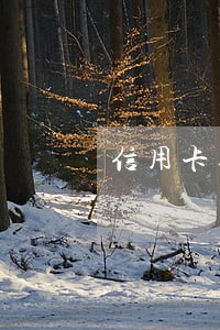 信用卡逾期被判刑后还有钱吗 信用卡逾期被判刑后还有钱吗
