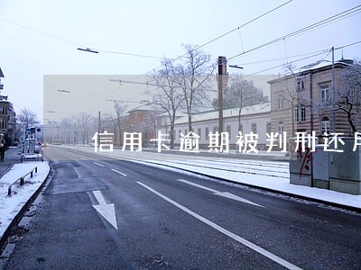 信用卡逾期被判刑还用还款么 信用卡逾期被判刑还用还款么