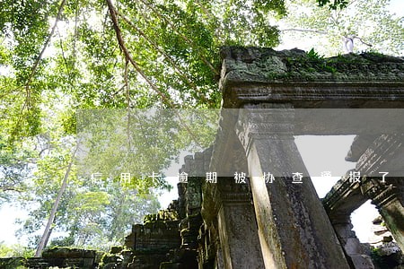 信用卡逾期被协查通报了怎么办 信用卡逾期被协查通报了怎么办