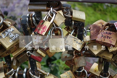 信用卡逾期被发传票怎么办 信用卡逾期被发传票怎么办