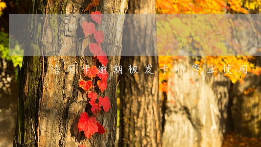 信用卡逾期被发卡行停止使用