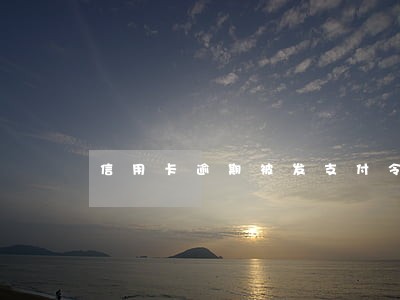 信用卡逾期被发支付令怎么办