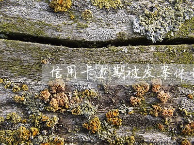 信用卡逾期被发案件告知函 信用卡逾期被发案件告知函
