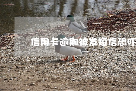 信用卡逾期被发短信恐吓 信用卡逾期被发短信恐吓