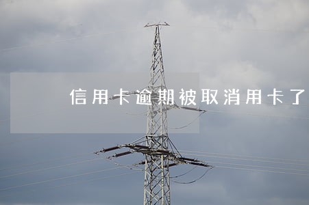 信用卡逾期被取消用卡了 信用卡逾期被取消用卡了