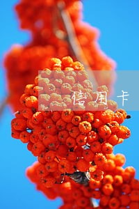 信用卡逾期被变成废卡 信用卡逾期被变成废卡
